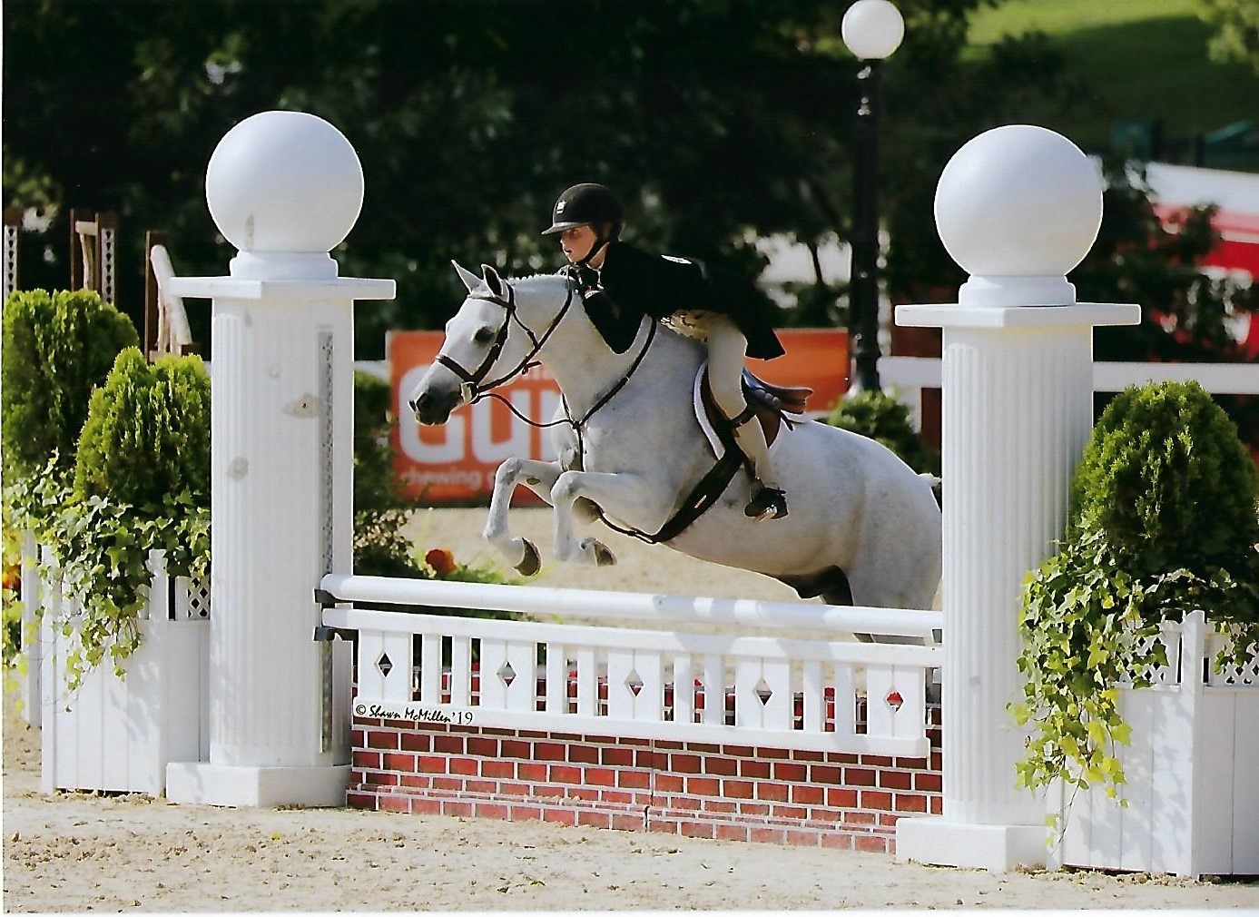 All In Colorado Hunter Jumper Association